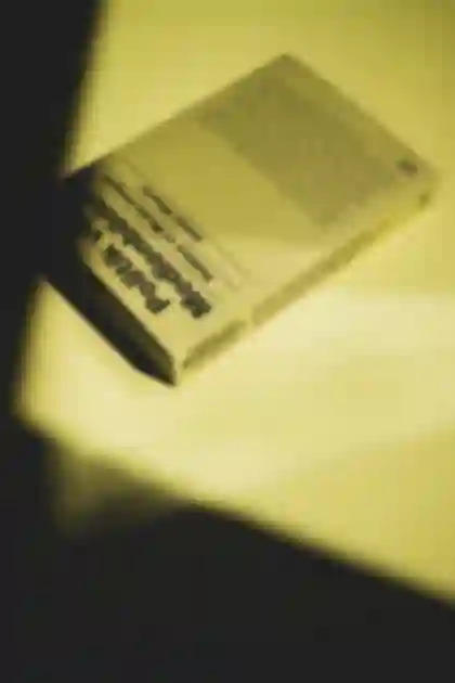 Jonas Höschl »Politik von Medienbildern«